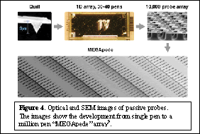 graphic2