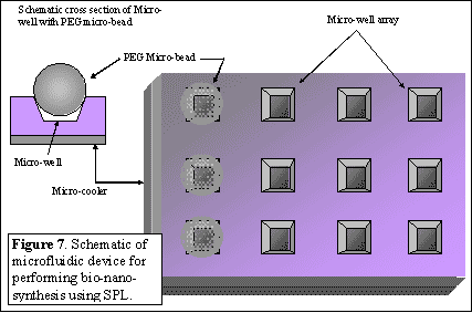 graphic7